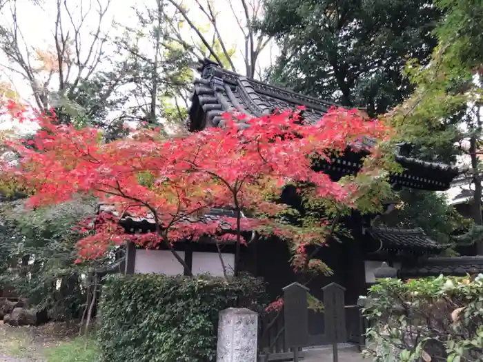 広徳寺の山門