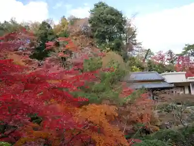 洞窟観音・徳明園・山徳記念館(群馬県)
