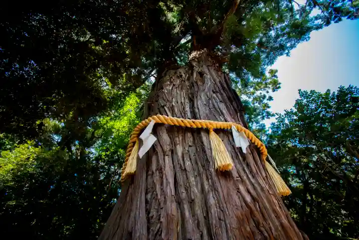 息栖神社の自然