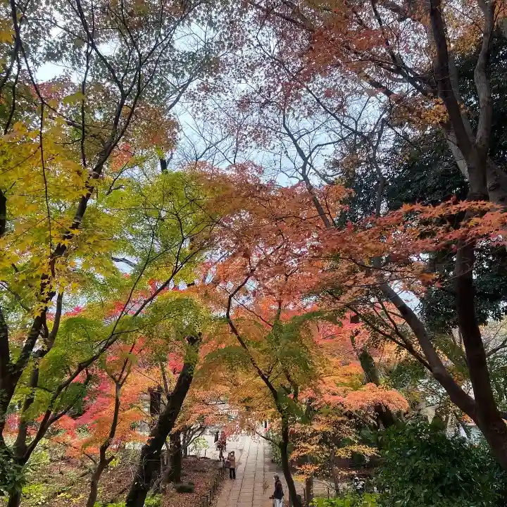 本土寺(千葉県)