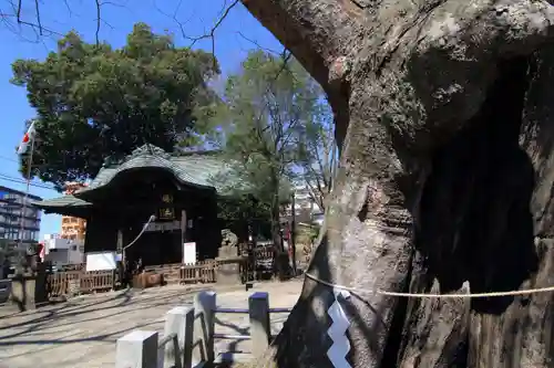 阿邪訶根神社のその他建物