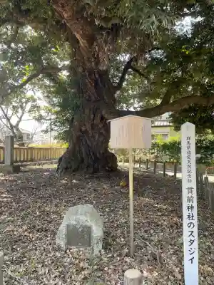 一之宮貫前神社(群馬県)