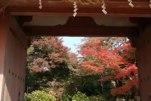 久安寺(大阪府)