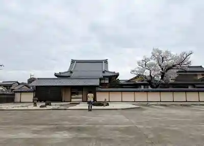 覚成寺の山門・神門