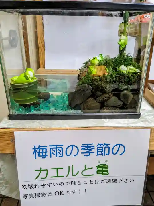 彌彦神社 (伊夜日子神社)の芸術