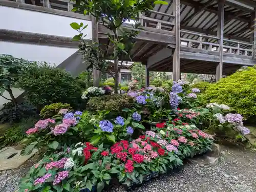楽法寺（雨引観音）の自然