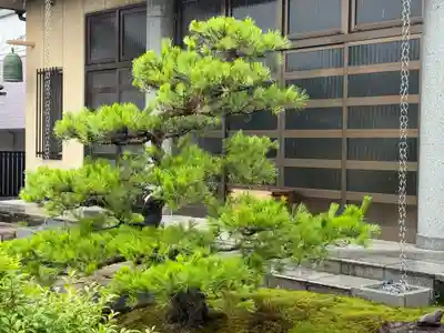 西方山極楽寺(岐阜県)