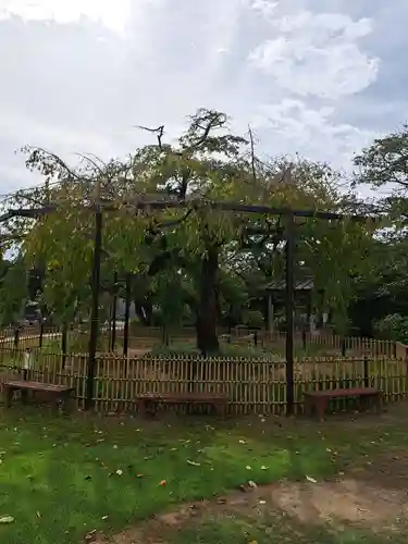 妙行寺(千葉県)