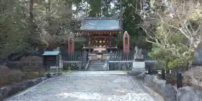 今宮神社(京都府)