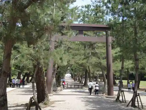 出雲大社の鳥居
