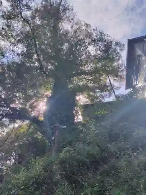武蔵御嶽神社(東京都)