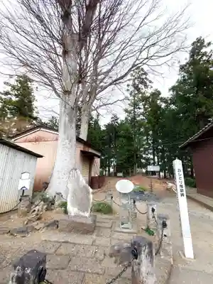 浅沼八幡宮(栃木県)