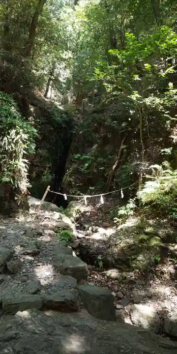 多度大社の自然