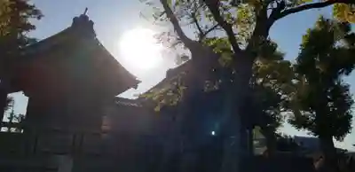 高須香取神社(埼玉県)