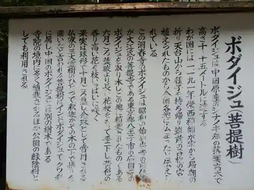 洞春寺(山口県)