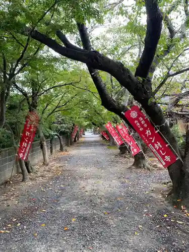 無量寺の庭園