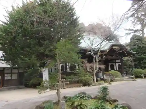 妙本寺の本殿・本堂