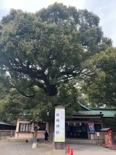 真清田神社の{uncategorized: "未分類", other: "その他", undefined: "問題あり", building: "その他建物", grave: "お墓", sacred_gate: "鳥居", guardian: "狛犬", statue: "像", buddha: "仏像", history: "歴史", nature: "自然", garden: "庭園", animal: "動物", pagoda: "塔", temizu: "手水舎", mountain_gate: "山門・神門", sanctuary: "本殿・本堂", subordinate: "末社・摂社", art: "芸術", scenery: "景色", jizo: "地蔵", ema: "絵馬", goshuin: "御朱印", omikuji: "おみくじ", items: "授与品その他", amulet: "お守り", goshuincho: "御朱印帳", eats: "食事", festival: "お祭り", votive_dance: "神楽", shichigosan: "七五三参", wedding: "結婚式", experience: "体験その他", initially: "初詣", around: "周辺", anti_infection: "感染症対策"}