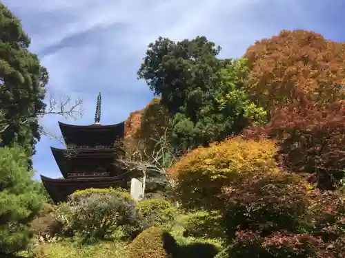 国宝 大法寺の庭園