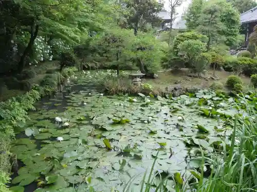 天台宗　長窪山　正覚寺の自然