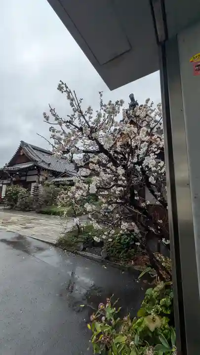 成道院(京都府)