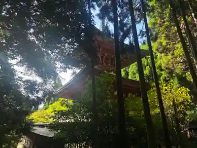 神護寺(京都府)