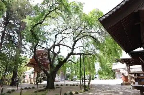 常陸第三宮　吉田神社(茨城県)