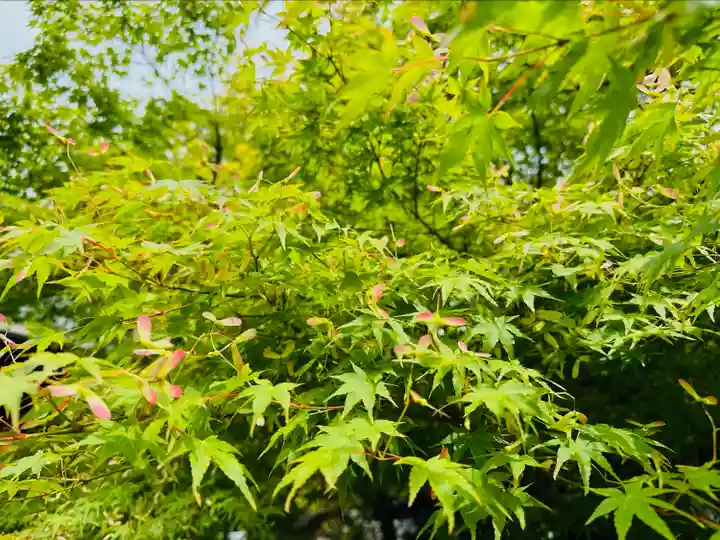 伊勢の国 四天王寺(三重県)