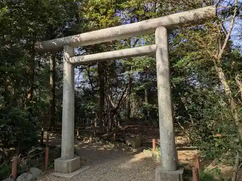 櫻木神社(千葉県)