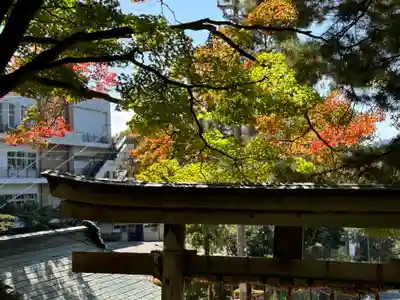手長神社(長野県)