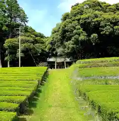 八幡神社(静岡県)