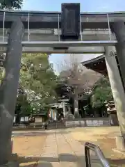 上高田氷川神社の鳥居