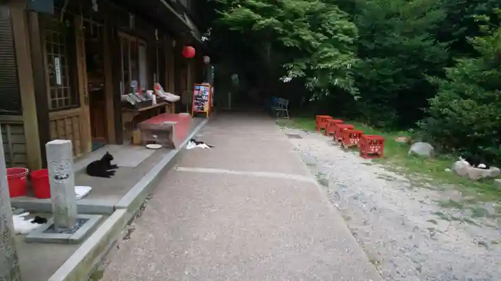 伏見稲荷大社(京都府)