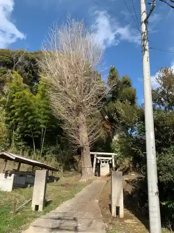 面足神社(千葉県)