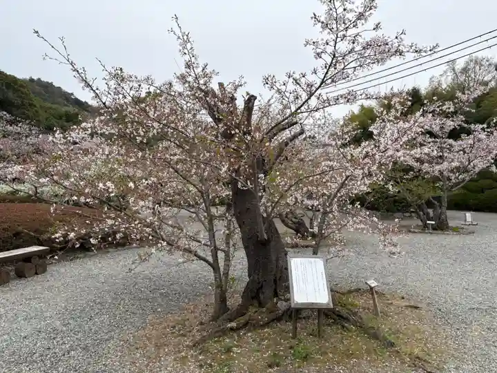 満願寺(兵庫県)