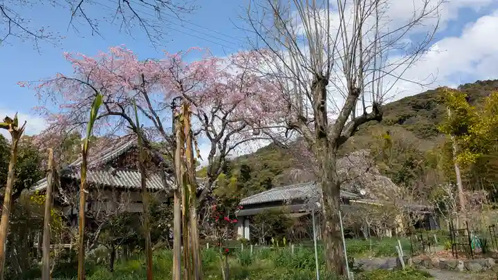 惠心院(京都府)