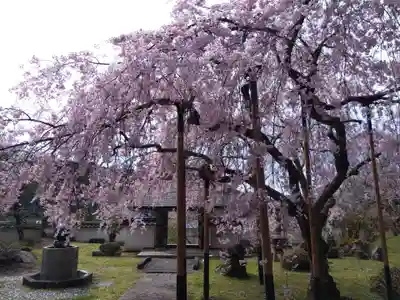 大聖院(京都府)