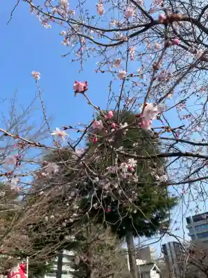 櫻岡大神宮の{uncategorized: "未分類", other: "その他", undefined: "問題あり", building: "その他建物", grave: "お墓", sacred_gate: "鳥居", guardian: "狛犬", statue: "像", buddha: "仏像", history: "歴史", nature: "自然", garden: "庭園", animal: "動物", pagoda: "塔", temizu: "手水舎", mountain_gate: "山門・神門", sanctuary: "本殿・本堂", subordinate: "末社・摂社", art: "芸術", scenery: "景色", jizo: "地蔵", ema: "絵馬", goshuin: "御朱印", omikuji: "おみくじ", items: "授与品その他", amulet: "お守り", goshuincho: "御朱印帳", eats: "食事", festival: "お祭り", votive_dance: "神楽", shichigosan: "七五三参", wedding: "結婚式", experience: "体験その他", initially: "初詣", around: "周辺", anti_infection: "感染症対策"}
