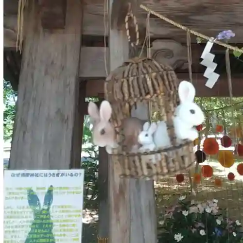 彌彦神社　(伊夜日子神社)の手水舎
