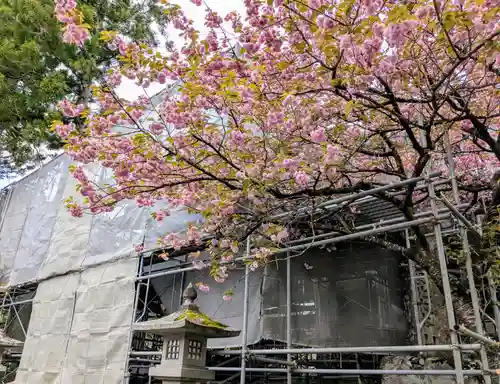 中尊寺(岩手県)