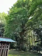 國吉神社(千葉県)