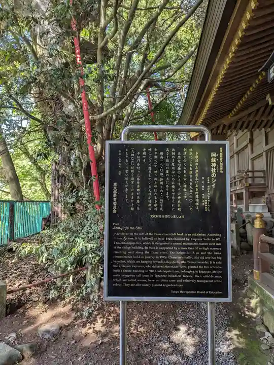 阿蘇神社(東京都)