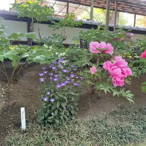 上野東照宮(東京都)