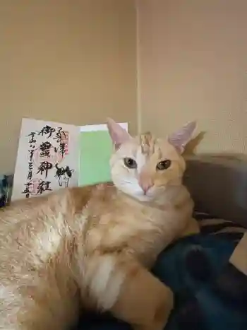 御霊神社の御朱印 2026年03月