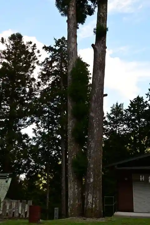 秋葉神社(高知県)