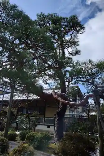 慶照寺(滋賀県)