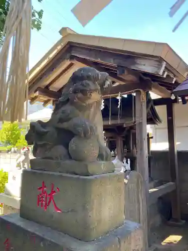 羽田神社の狛犬