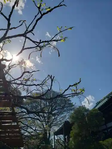 愛染院(東京都)