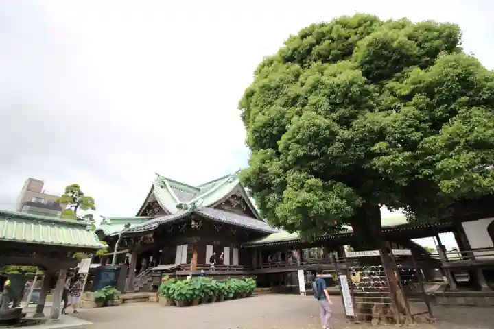 題経寺(柴又帝釈天)(東京都)
