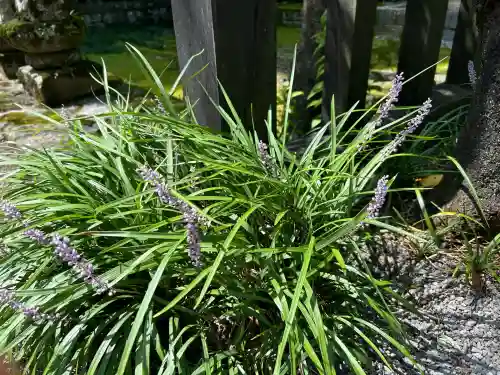 慈雲寺(長野県)